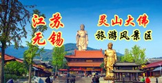 骚妇艹视频江苏无锡灵山大佛旅游风景区