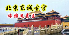 免费观看抽插视频中国北京-东城古宫旅游风景区